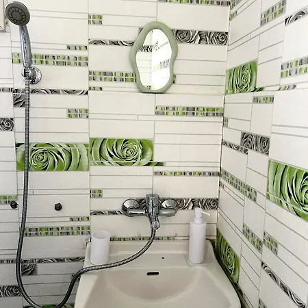 мишел Kemping *