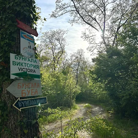 Parque de Campismo мишел