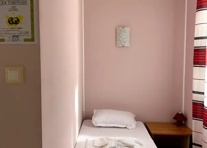 мишел * 瓦爾納