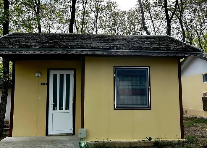 мишел 营地 瓦爾納