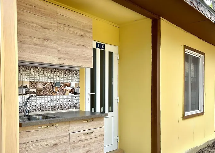 мишел * 瓦爾納